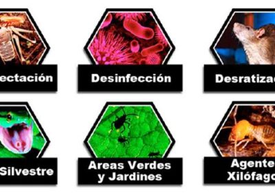 Prohigiene Ambiental